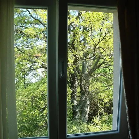 Ruza Apartment